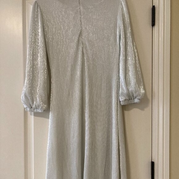 Elegant Pleated Dress - Picture 5 of 5